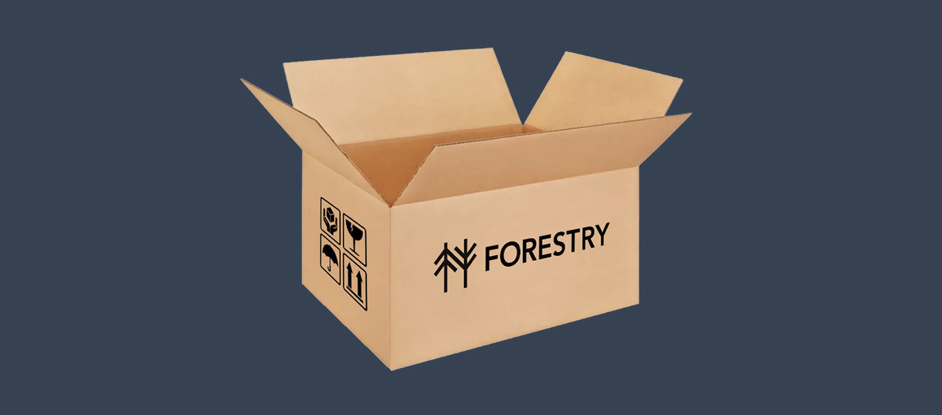 Looking for a Forestry.io alternative?